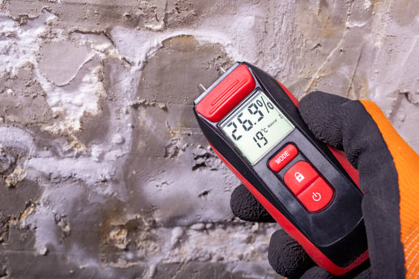 Mold Removal Process in Schaumburg, IL
